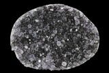 Cut Amethyst Crystal Cluster - Artigas, Uruguay #143177-1
